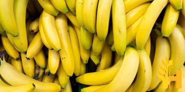 Husfarm Banana photo