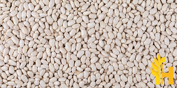 Husfarm Bean Grain photo