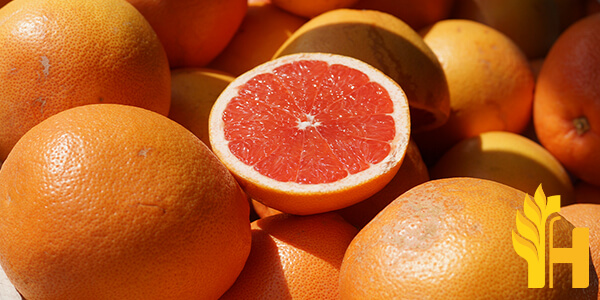 Husfarm Grapefruit photo