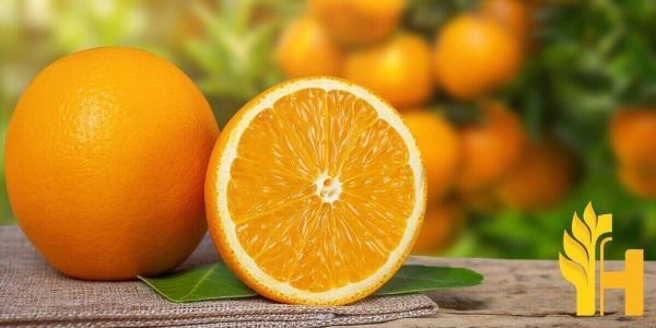 Husfarm Orange photo