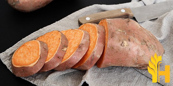 Husfarm Sweetpotato photo