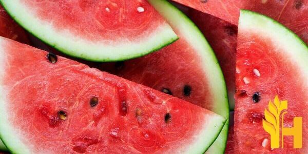 Husfarm Watermelon photo